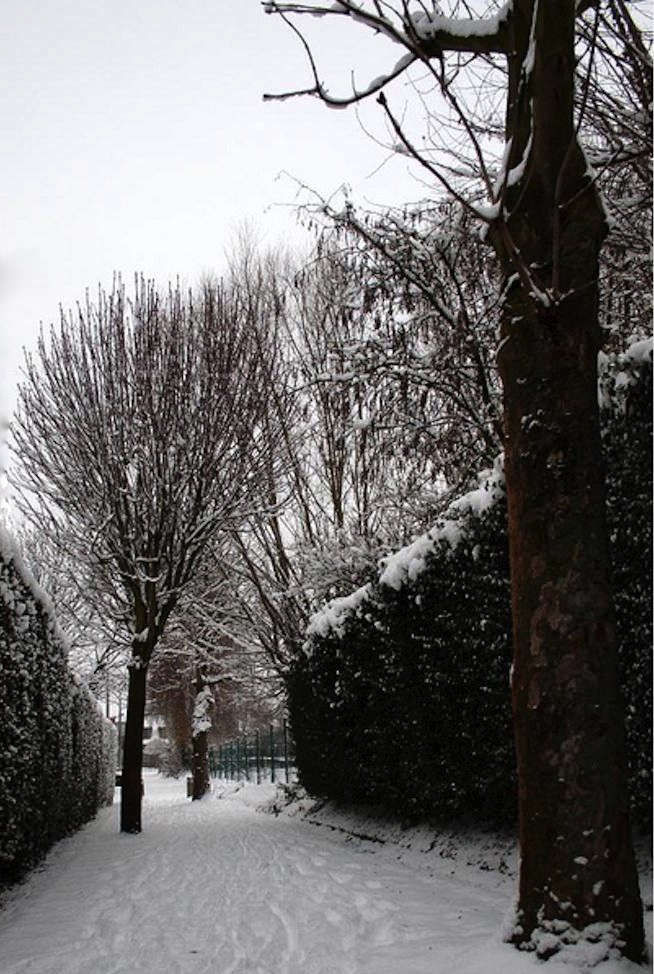 WinterWalks:ToSchoolandBack,inMarke,Belgium-Gardenista