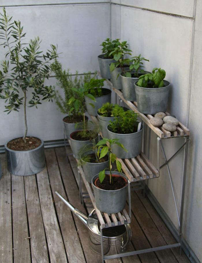 DesignSleuth:GalvanizedSteelKitchenGarden-Gardenista