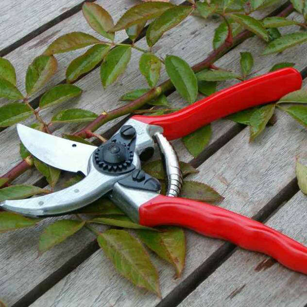 5Favorites:Pruners-Gardenista