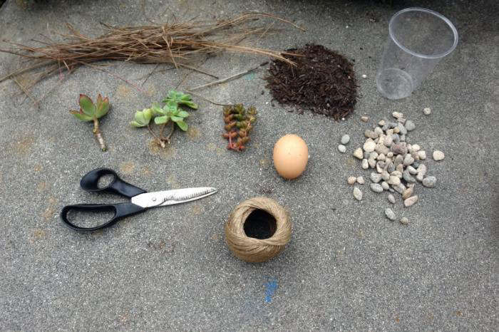 DIY:EggGardening-Gardenista