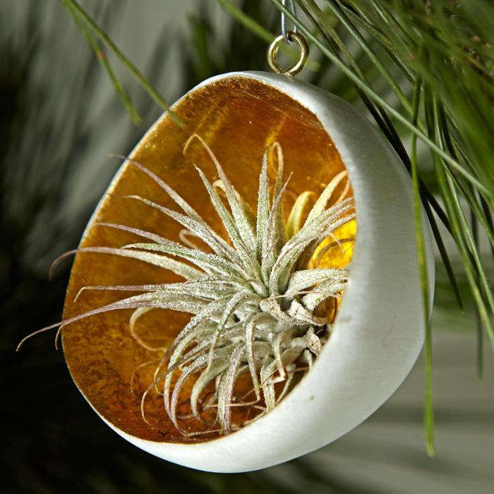 5Favorites:LivingOrnaments-Gardenista