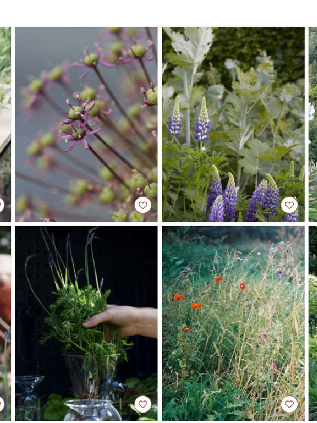 Introducing The Gardenista Lookbook - Gardenista Web Story - Gardenista