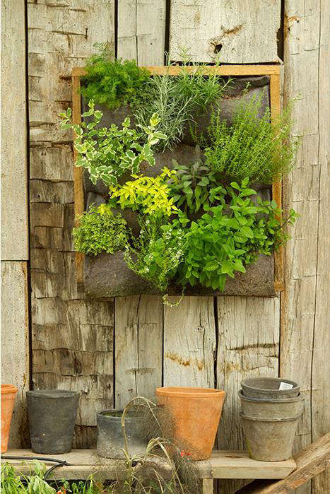 Accessories:VerticalGardensatTerrain-Remodelista