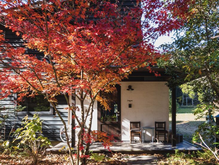 A Japanese maple, in all its glory, stands in front of a home in Kagoshima, Japan. Photograph by Hironobu Kagae, from “Spend Every Day with Peace of Mind”: A Labor-of-Love Family Home in the Japanese Countryside.