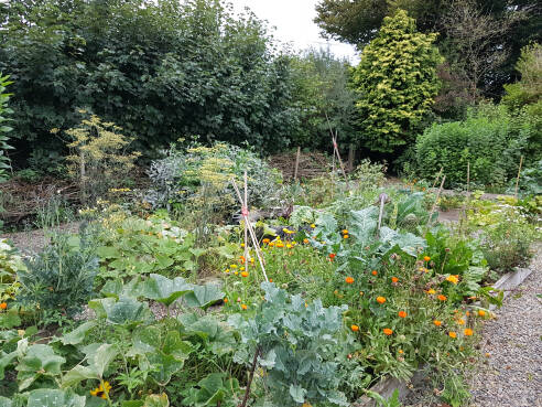 Kim Stoddart on The Climate Change-Resilient Vegetable Garden