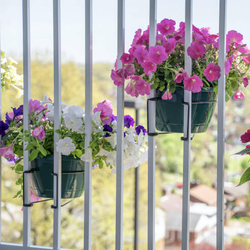 RailScapes Plant Clips by PlantTraps for Railings and Fences