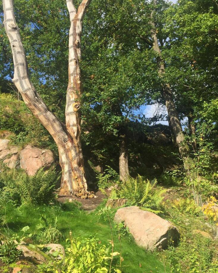 A artful snag at the Gothenburg Botanical Garden. Photograph by Carrie Preston/Studio Toop, from Can Gardeners Learn to Love Snags? These Pros Think So.