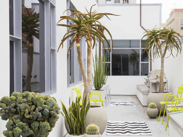 Steal This Look: A Small Container Garden Balcony in San Francisco