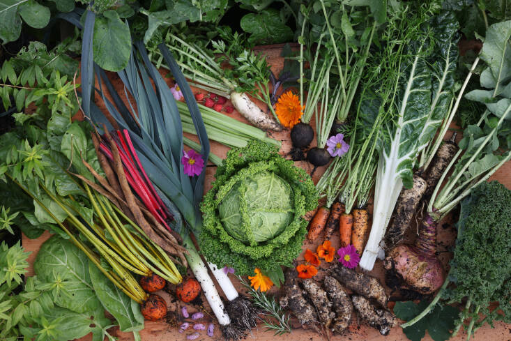 A big harvest from his garden.