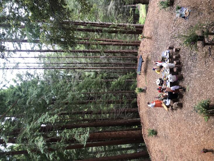 A sacred gathering spot at Salmon Creek Farm.