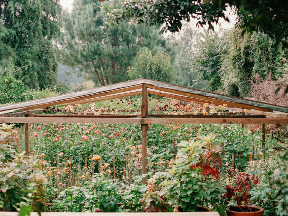 Garden Visit: ‘Love and Care’ in Florist Gabriela Salazar’s Flower Garden