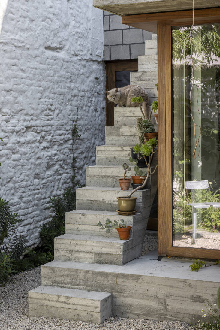 Arthur and Kelly added these concrete steps that lead to a green roof above. The stairs serve as plant shelves as well for their collection of potted succulents.