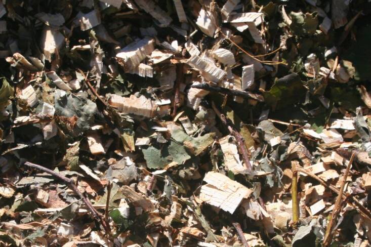 The lime branches and leaves, post wood chipper. Ramial mulch often contains leaves as well. Photograph by Arpent Nourricier via Flickr .