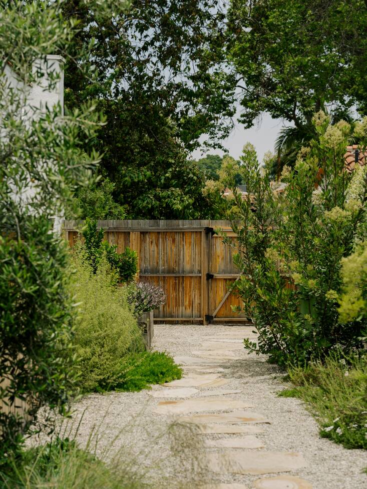 A wider view looking out from the garden to the street. Photograph by Austin John for Finca Glenfeliz.