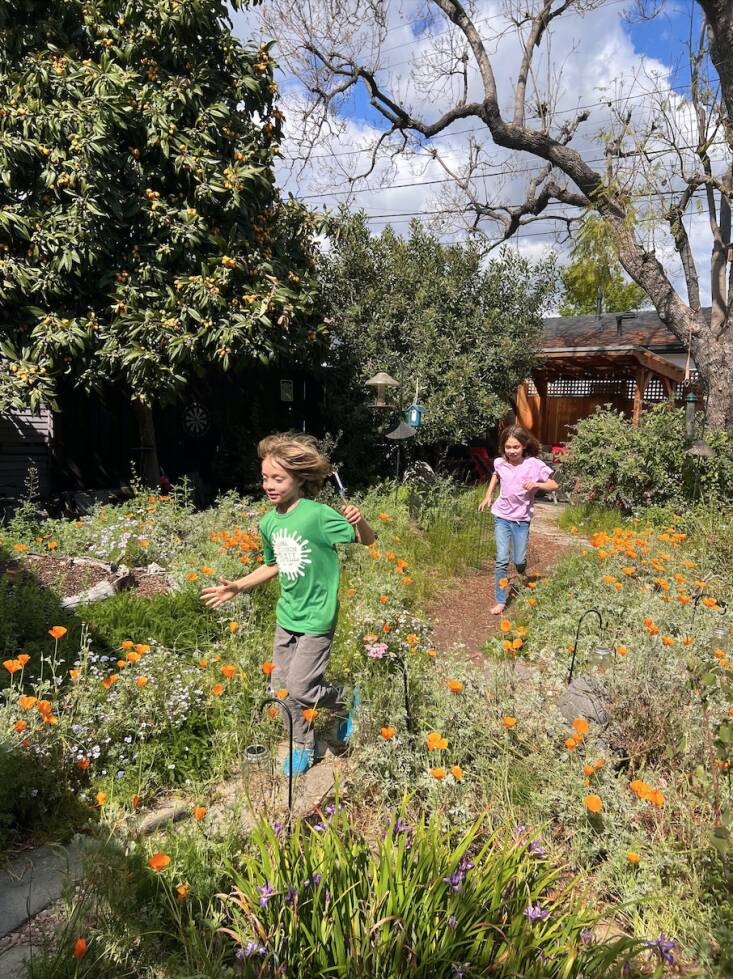 Photographer-turned-garden designer David Newsom rewilded his LA backyard. Photograph by David Newsom, from Where the Wild Things Are: David Newsom’s Mission to Re-Wild Los Angeles’ Yards.