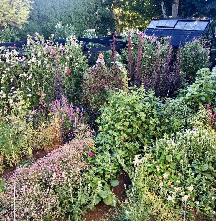 Christin’s cutting garden in Victoria, Canada, where she lives. (She also has a home in Chilmark, Martha&#8217;s Vineyard.)