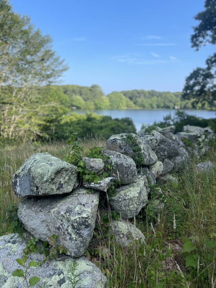 A stone wall at her Martha&#8\2\17;s Vineyard property.