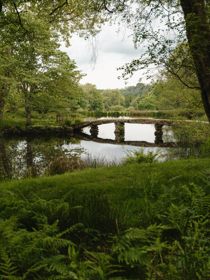 Gail and David had a couple thousand native trees planted since moving in, &#8\2\20;but the biggest thing we’ve done for nature has been turning the existing pond, which was silted up, into a lake. It’s brought geese, ducks, herons, an occasional cormorant and little grebe, frogs, eels and toads, as well as damselflies and dragonflies,&#8\2\2\1; she told The Modern House.