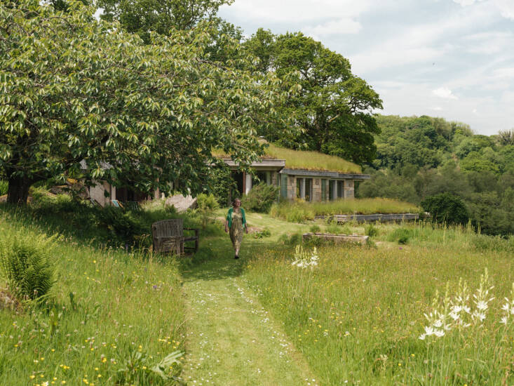 Gail strolling the mown path from their house. (See Landscape on a Budget: \13 Ideas for Mown Grass Paths.)