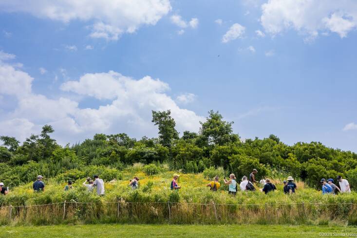 Governors Island Nature Walk &#8\2\1\1; Governors Island offers nature walks with an expert. Here participants are catching and identifying insects on the northwest slope of Discovery Hill last summer. You can also go glamping at Governors Island and fully experience the park. Learn more at  Collective Retreats. 