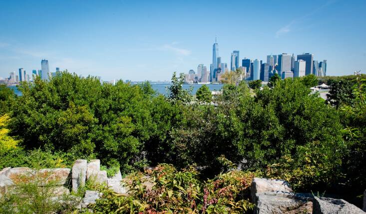 At the top of Outlook Hill, visitors are greeted with an expansive view of New York Harbor. The horticulture team has been managing invasive species spread on Outlook hill through solarization. “For our first trial, we solarized about \1,\200 square feet and have gone up from there,” says Pettis. “We’ve probably solarized more than 5,000 square feet in total.” Photograph by Sean Jamar. 