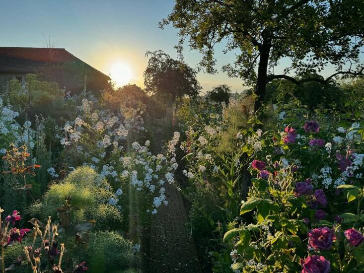 Her gardens are driven primarily by color.