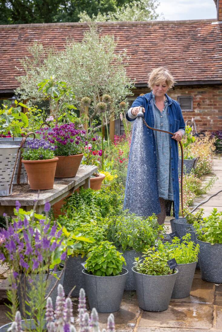 Sarah is a master when it comes to container gardening. Photograph by Jonathan Buckley, for A Year Full of Pots. (See our story on her new book here.)