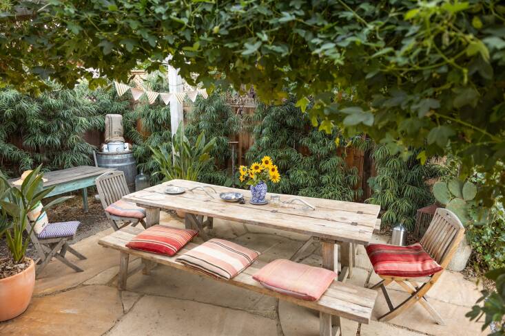 A rambunctious passion vine and gracefully drooping Podocarpus henkelii surround the dining area where family and friends gather.