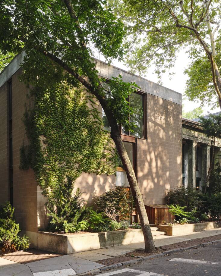 &#8220;The facade of the house is landmarked, including the integrated large plant beds and entry stairs, so we treaded lightly,&#8221; explains Nishiel. &#8220;We did, however, add a Hollywood juniper and two Japanese maples to the front with a shrubby understory of rugosa rose and &#8216;Pee Wee&#8217; oakleaf hydrangeas. The junipers and maples were selected for their twisted and gracefully open forms, respectively, as a contrast to the monolithic cube form of the house. Both trees are commonly found in the neighborhood which, over time, will make them feel as if they&#8217;ve always been there.&#8221;