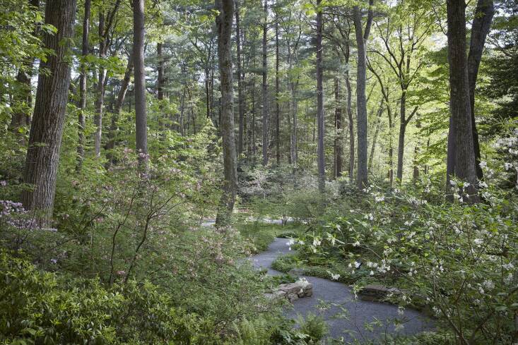 Native Plant Trust’s botanic garden, Garden in the Woods, is located in Framingham, MA. Nasami Farm, their native plant nursery, can be found in Whatley, MA. Approximately half of the plants they grow and sell at Nasami Farm and in the gift shop at Garden in the Woods come from seed they’ve collected and grown themselves. Photograph by Ngoc Minh Ngo.