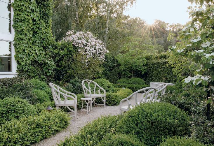 In this courtyard garden boxwoods and blueberries intermingle happily.