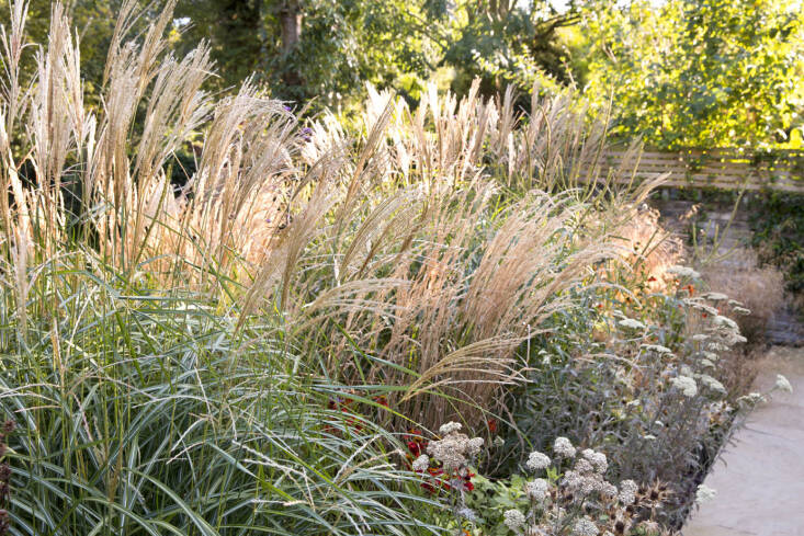 Here, two perpendicular glass panels create a seamless corner that slide open creating, as Bernstein explains &#8\2\20;a direct and continuous relationship with the garden experienced inside the extension.&#8\2\2\1;