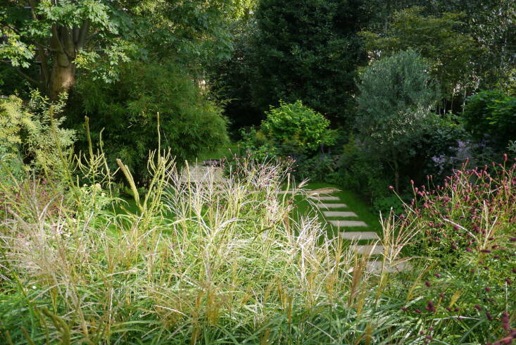 &#8\2\20;I designed a swathe of tall, perennial planting close to the house,&#8\2\2\1; says Bernstein. &#8\2\20;In only partially revealing the garden beyond, it invites or almost teases the visitor to venture out into it. The shaded woodland area at the back adds to the atmosphere of a secret garden.&#8\2\2\1;