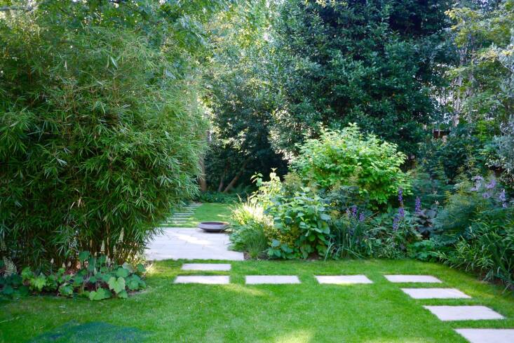 The bamboo was chosen to create an evergreen screen between the middle terrace and the house so that, while sitting on the terrace, there would not be any building in sight. &#8\2\20;We installed a root barrier around the planting bed to contain the bamboo,&#8\2\2\1; Bernstein explains. &#8\2\20;I chose one clump-forming variety, Fargesia murielae, but nonetheless, I have to thin it out in late spring and late summer as well as control its height to keep it separate from the lower canopy of the overhanging ash tree.&#8\2\2\1;