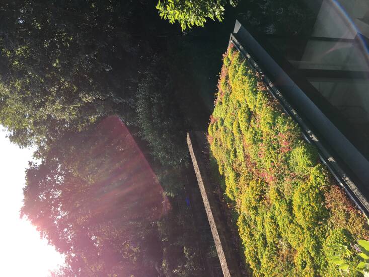 The flat roof of the extension functions as a living roof.