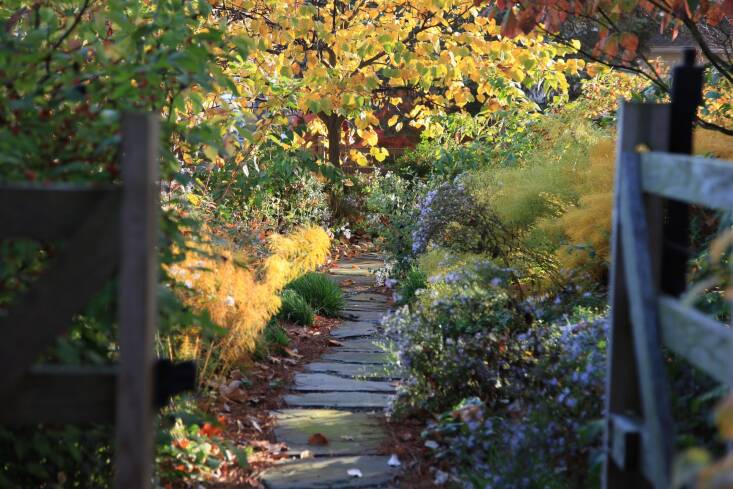 Paths should be cleared of leaves, which turn slick and slippery in wet weather.