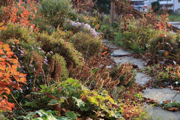 Along with leaving the leaves, leave the seedheads—birds and insects welcome the sustenance and shelter that both can provide.