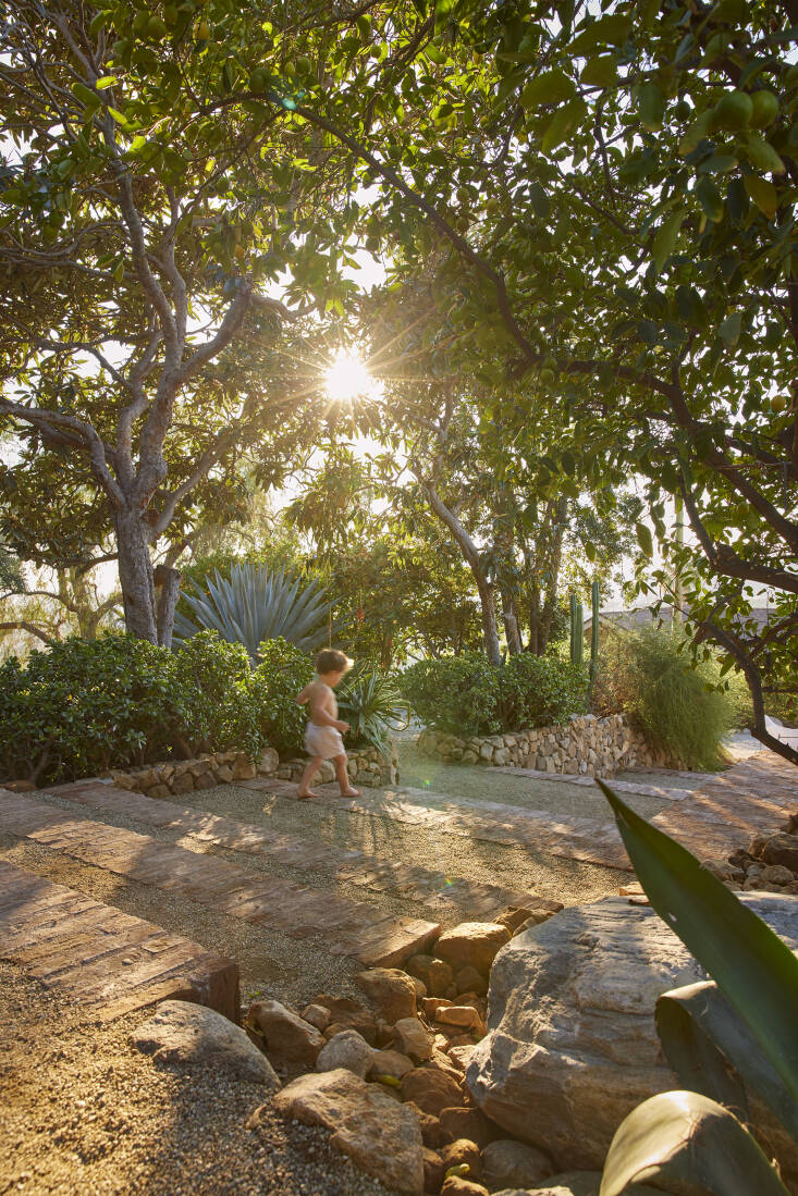 Patrick terraced his garden into smaller patios, with walls lined with sandstone from the property and steps fabricated from handmade Mexican bricks. &#8\2\20;My main objective was to create a drought-tolerant environment that was friendly for children, while also providing color throughout the year,&#8\2\2\1; he told Remodelista. Photograph by Yoshihiro Makino.