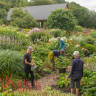 Garden Visit: Tom and Sue Stuart-Smith's Serge Hill Project Is a Family Affair