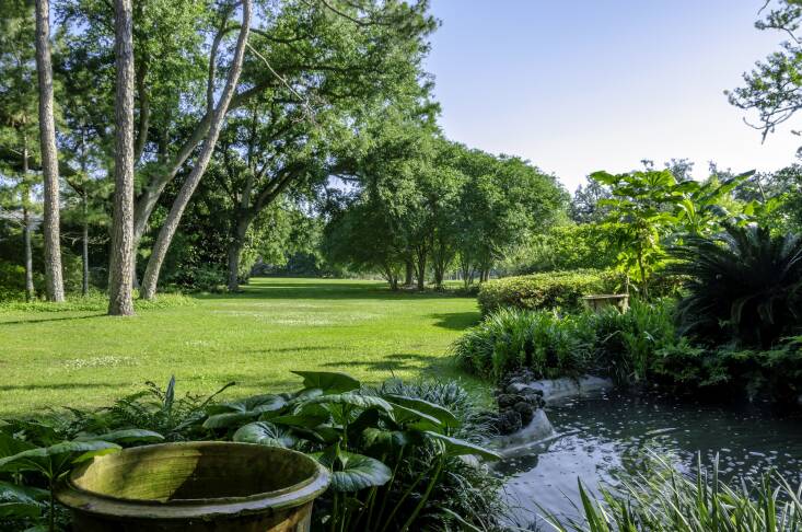 The Overlook Pond on the East Lawn features a verdant palette of Acanthus, Crinium and Farfugium. “One thing I often see around here is that lawns get cut too short,” recommends Benjamin. Longer grass blades shade out weeds. “I’ll mow St. Augustine grass to four-inches and Bermuda grass to two-inches.” He also makes sure to use a mulching blade on the lawn mower to turn clippings into food.