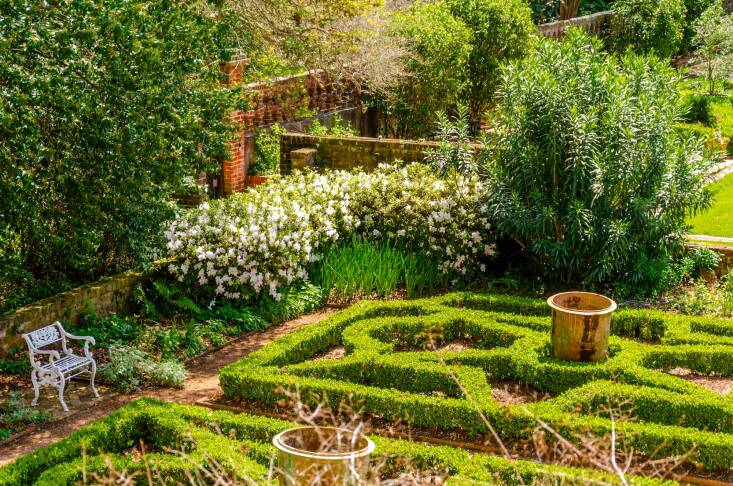 The Portico Garden showcases mixed colorful borders and lush plantings, including historic plants like phlox, salvia, gomphrena, snapdragons, lilies, poppies, baby’s breath, and alyssum. This formal room also features a pair of espalier Magnolia grandiflora ‘Little Gems’ and matching Osmanthus fragrans in the curved niches of the stairs, as well as native Carolina jasmine vines.