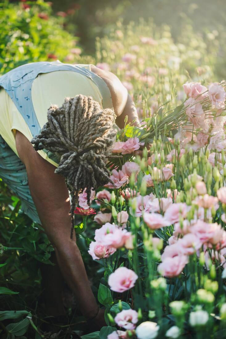 Hard work produces beautiful blooms at Urban Buds. Mimo believes in immersing herself into the garden beds, to ensure that each bloom is picked at just the right time. Photograph by Carmen Troesser for Black Flora.