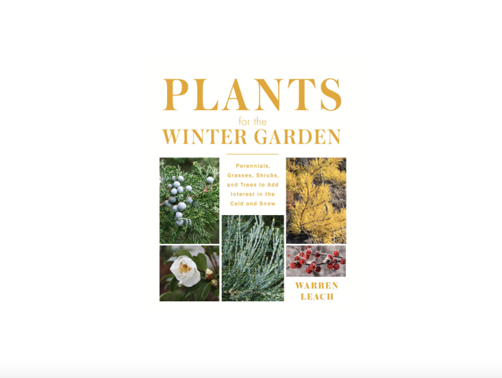 Plants for the Winter Garden Perennials, Grasses, Shrubs, and Trees to Add Interest in the Cold and Snow by Warren Leach is available now wherever books are sold.