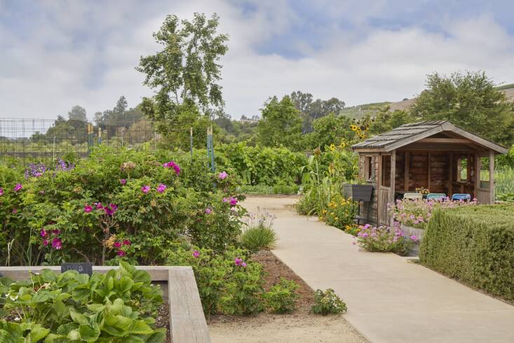 The butterfly garden at Sendero Farm.