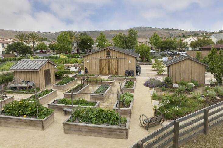 The farm has both raised beds and in-ground rows of crops. &#8\2\20;One of the incredible things about being able to connect so deeply with where your food comes from, is your palate becomes more adventurous,&#8\2\2\1; says Matthew. &#8\2\20;Crops like tender, sweet Tokyo market turnips have become a favorite in some communities. And mashed potato squash, a white acorn-type winter squash that takes on the flavor and texture of mashed potatoes when roasted, has a cult following.&#8\2\2\1;