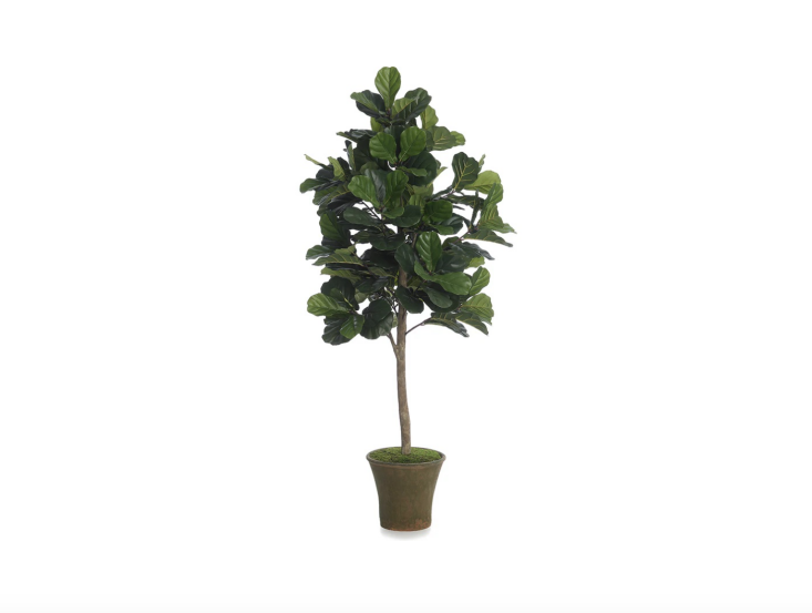 Sponsored by Diane James Home: If you’ve had no luck growing the notoriously fickle fiddle leaf fig tree (yes, it’s still wildly popular), consider this wilt-proof faux version, hand-assembled in Connecticut. With a real wood trunk and “planted” with natural moss, it will fool even the most discriminating green thumb. Shop now.