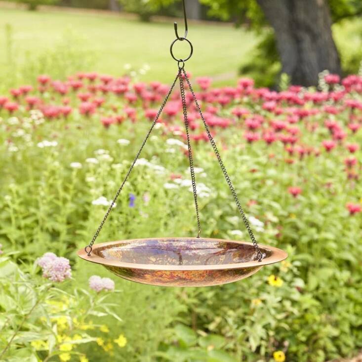 The lip on the Lavendon Copper Hanging Birdbath allows for birds to perch while they hydrate.