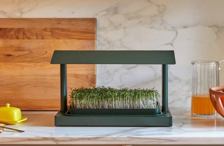 Grow microgreens on the kitchen counter, a bookshelf, wherever there&#8\2\17;s an electrical outlet. The powder-coated steel Fieldhouse starter kit comes with soil, a grow light, and a six-pack of seeds. Shop now.