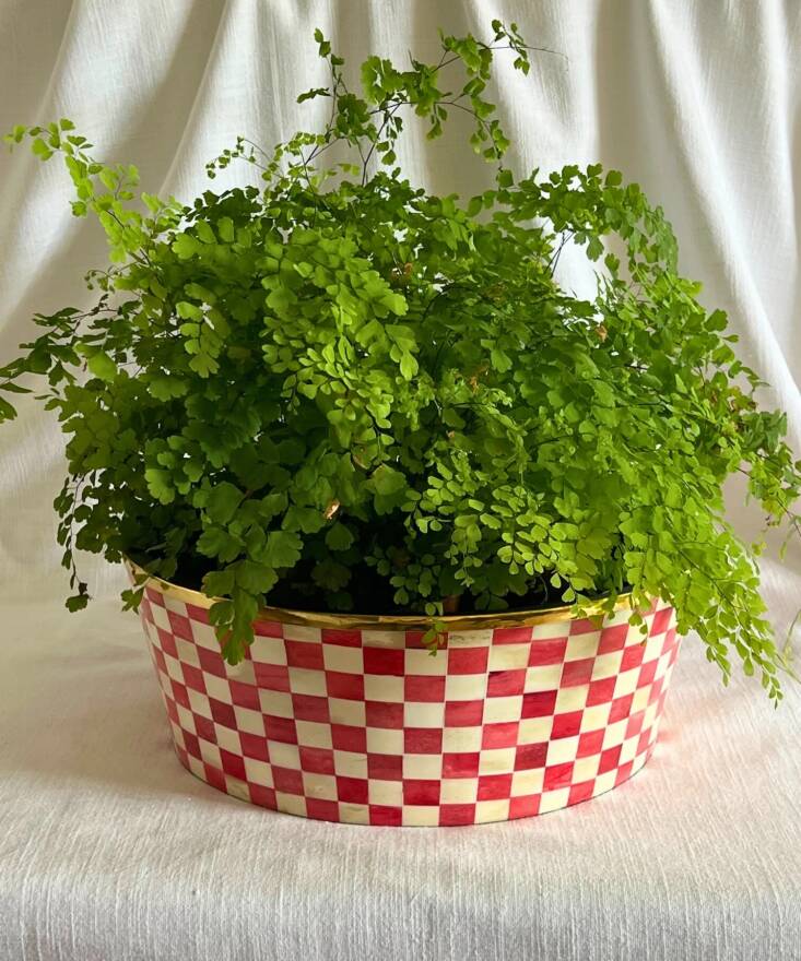 While working on a future post about indoor bowl plantings (check back next week), Clare came across this fun Round Inlay Chequered Planter by Tooka; \$\173.