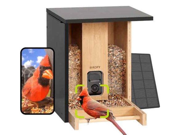 Birdfy Feeder Bamboo – Smart Bird Feeder with Eco-friendly Material